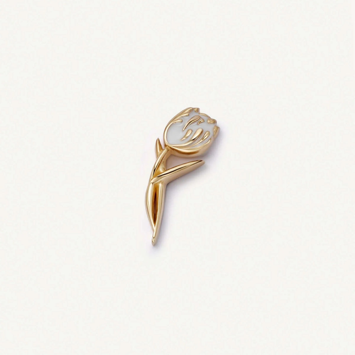 https://shineoss.oss-cn-hongkong.aliyuncs.com/wang/2026/08/31/ea62baaa-7189-496b-9199-982261505d3d.jpg
